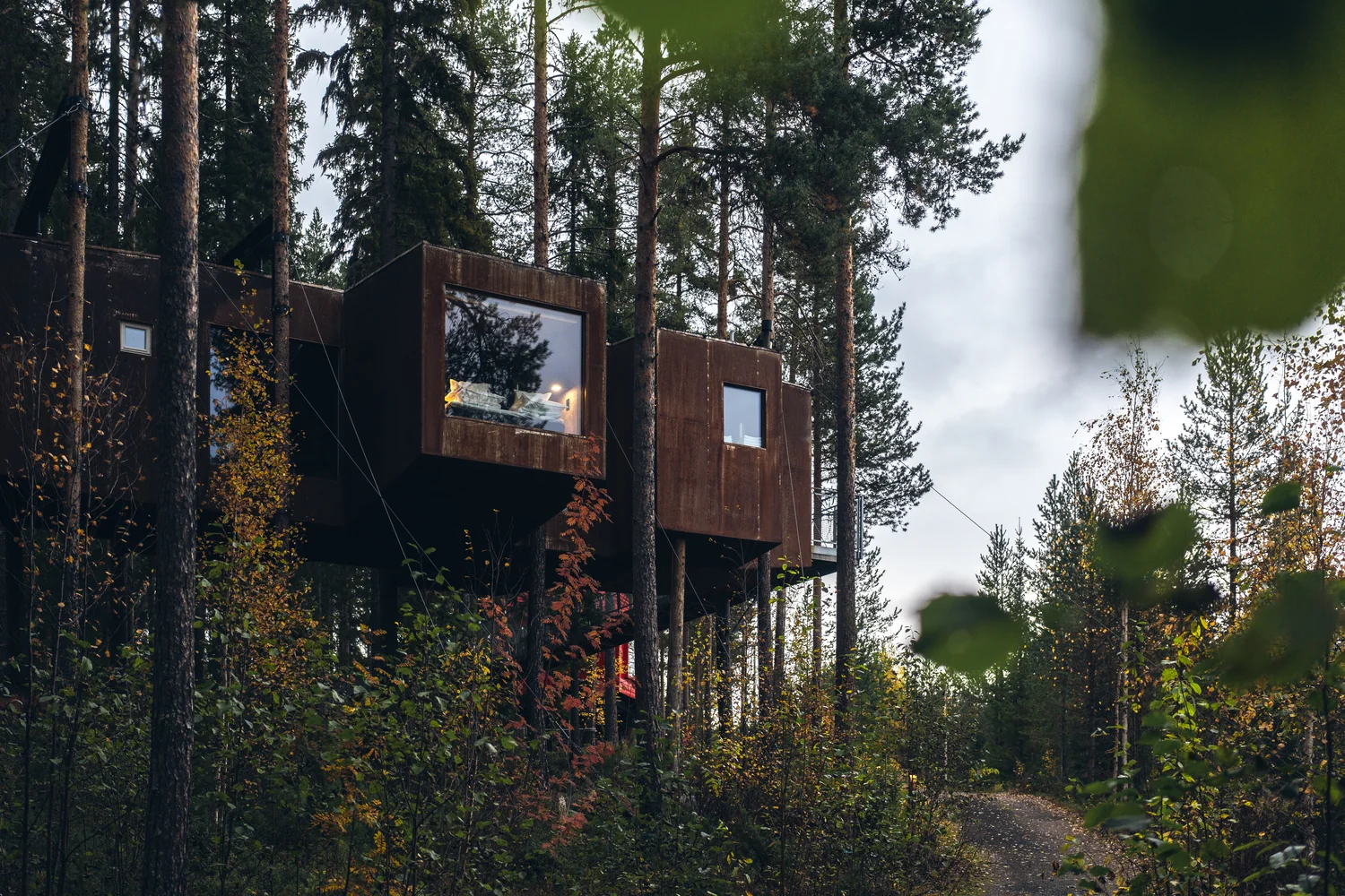 Særpreget overnatting i naturpreget omgivelser Eksklusive trehytte-lodger i skogen med moderne arkitektur